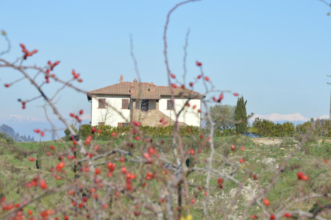 Agriturismo Corte Dainelli Montaione Ngoại thất bức ảnh